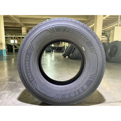 FRIDERIC RS109 2